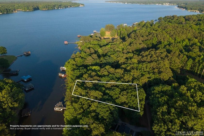 Moderately wooded waterfront lot with plenty of natural light - photo 14
