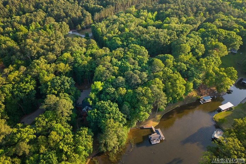 Moderately wooded waterfront lot with plenty of natural light - photo 17
