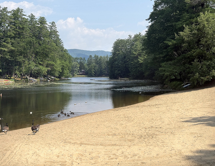 Log Home, picturesque, babbling brook, private community beach - photo 21