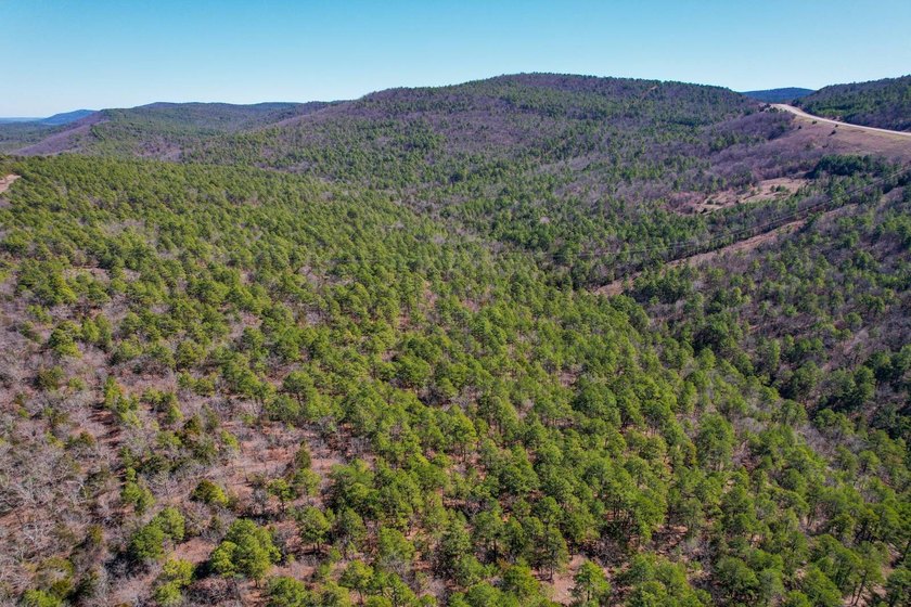 If you have been in the market for an awesome hunting property - photo 11