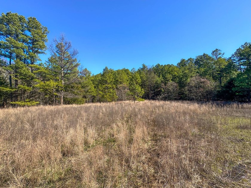 If you have been in the market for an awesome hunting property - photo 19