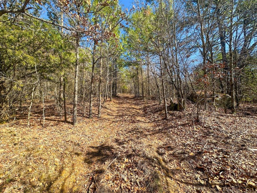 If you have been in the market for an awesome hunting property - photo 20