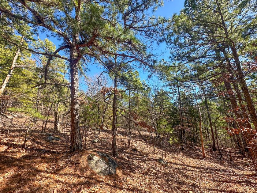 If you have been in the market for an awesome hunting property - photo 23