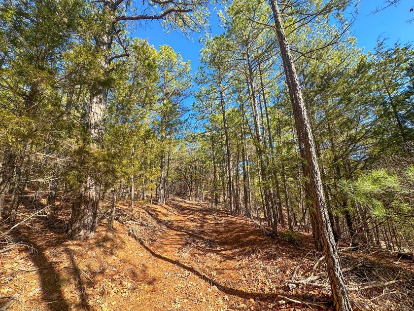If you have been in the market for an awesome hunting property - photo 26