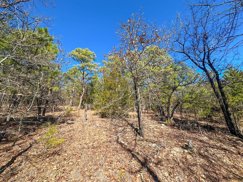 If you have been in the market for an awesome hunting property - photo 27