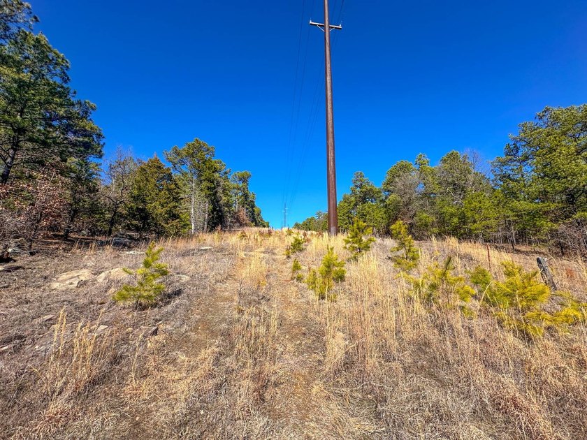 If you have been in the market for an awesome hunting property - photo 28