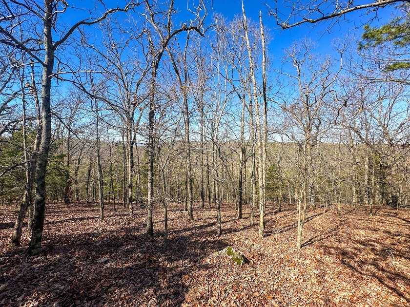 If you have been in the market for an awesome hunting property - photo 32