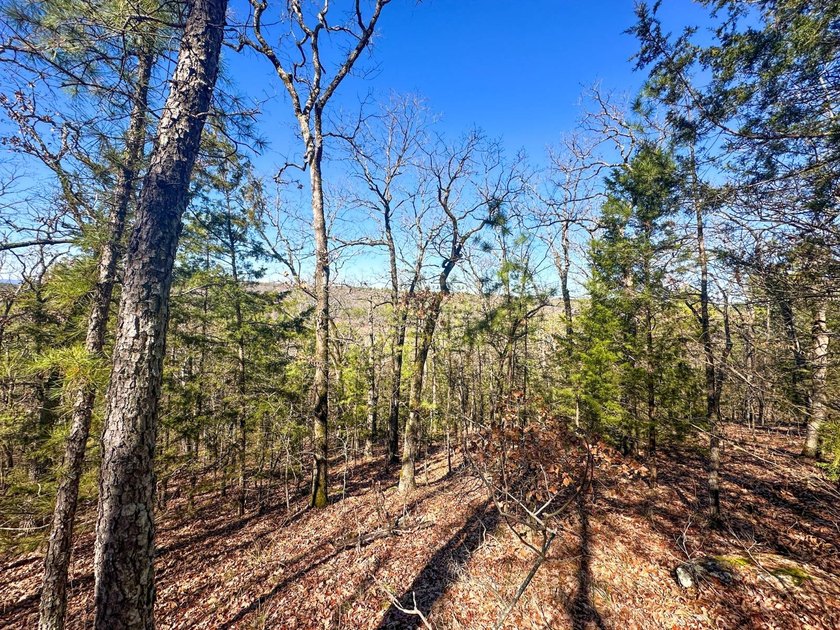 If you have been in the market for an awesome hunting property - photo 33