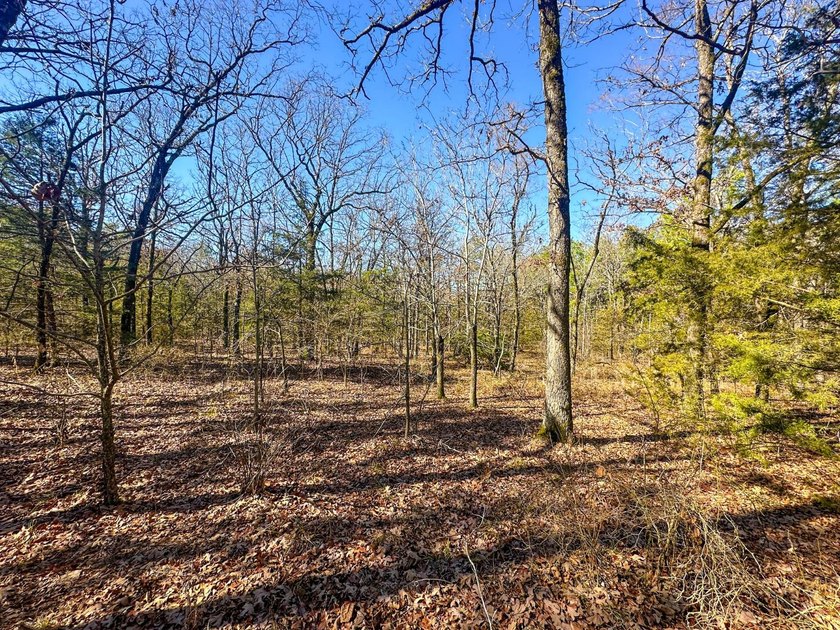 If you have been in the market for an awesome hunting property - photo 36