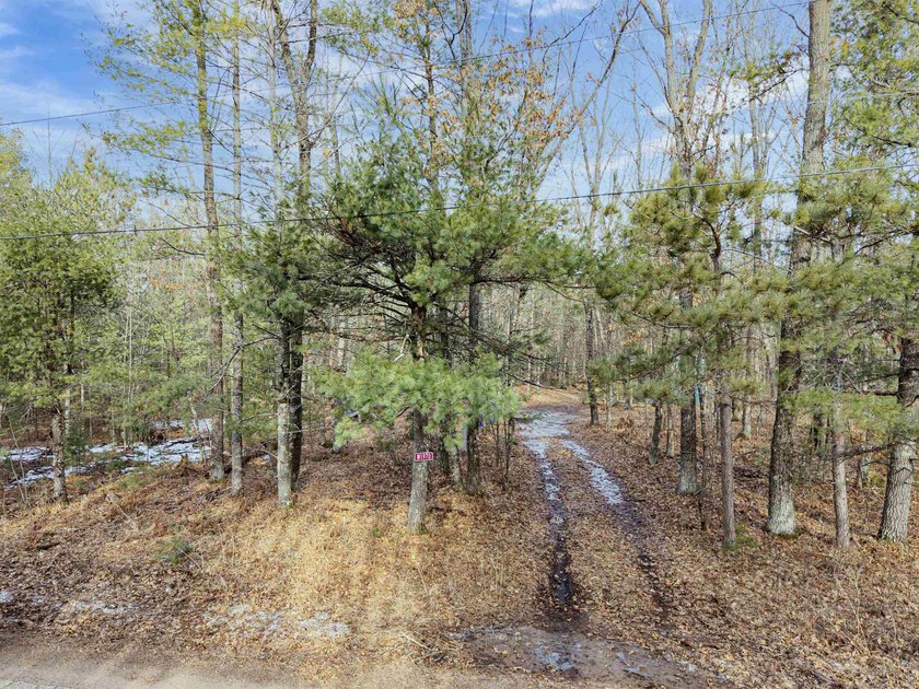 Buildable .55-acre lot with excellent potential for a future - photo 2