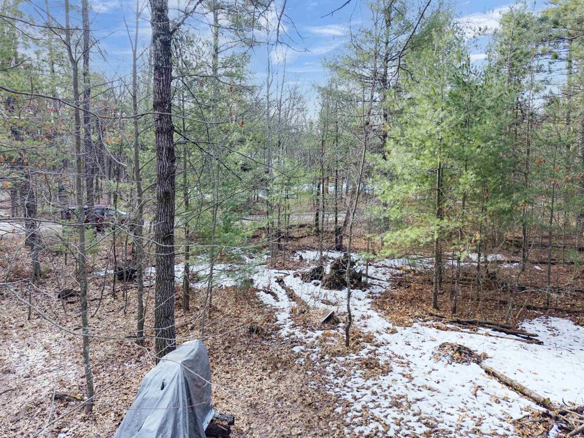 Buildable .55-acre lot with excellent potential for a future - photo 7
