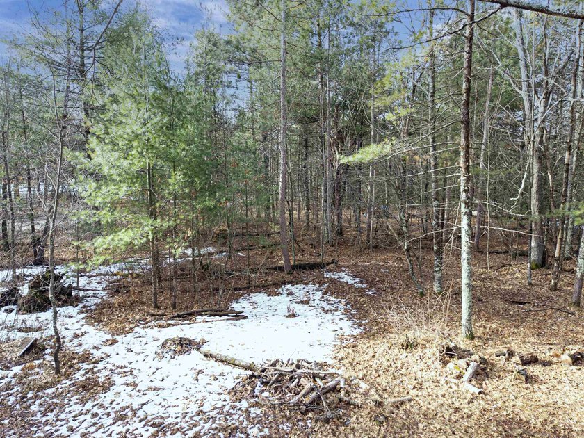 Buildable .55-acre lot with excellent potential for a future - photo 9