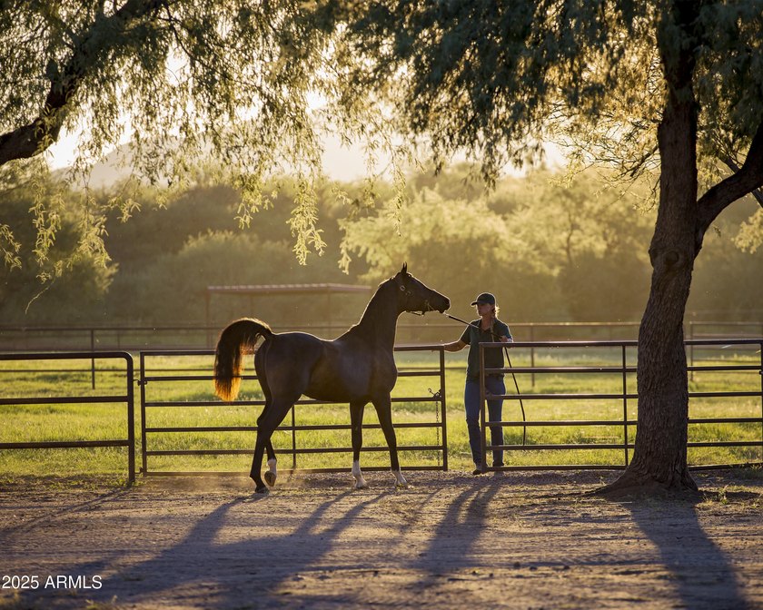 Nestled at the base of the Santa Rita Mountains and conveniently - photo 43