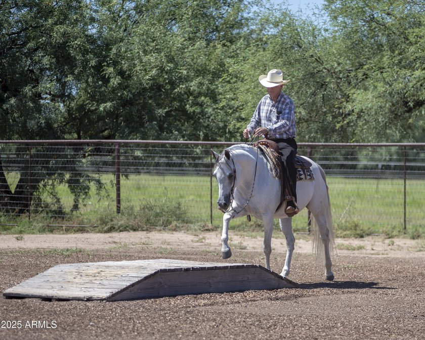 Nestled at the base of the Santa Rita Mountains and conveniently - photo 45