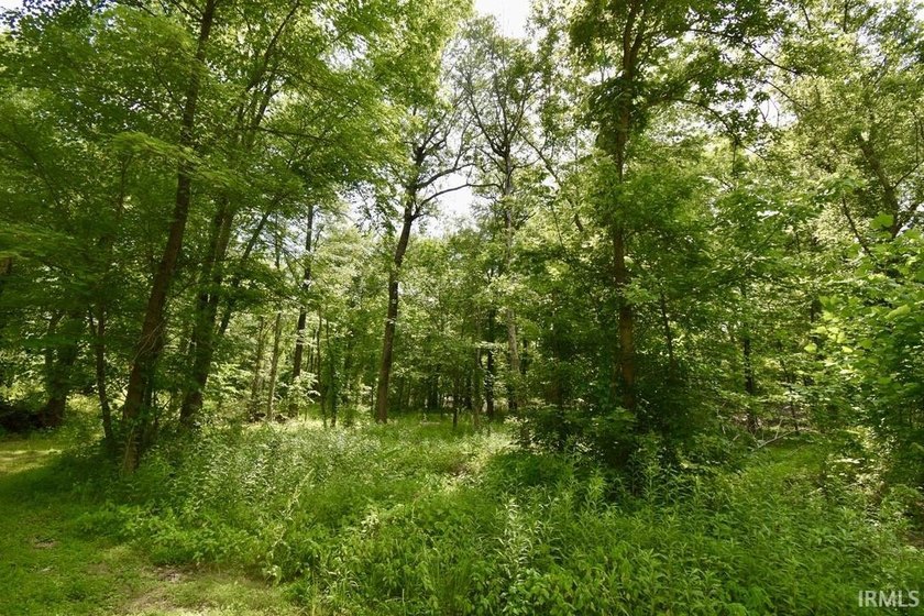 19 Acres for Sale in Warrick County, Indiana - Premier Hunting &amp; - photo 4