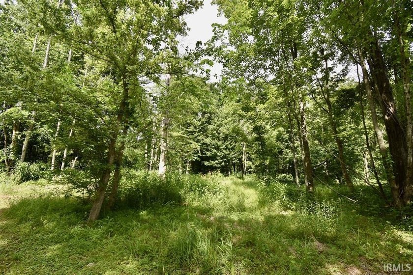 19 Acres for Sale in Warrick County, Indiana - Premier Hunting &amp; - photo 6