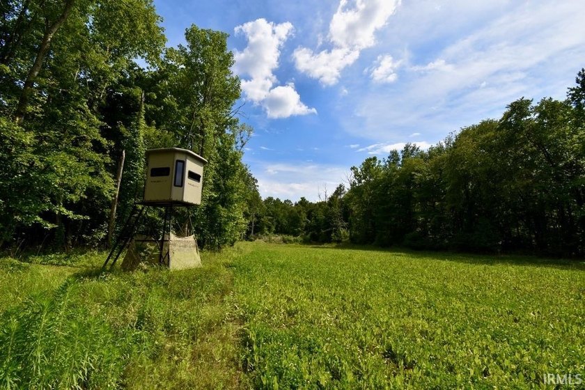 19 Acres for Sale in Warrick County, Indiana - Premier Hunting &amp; - photo 8