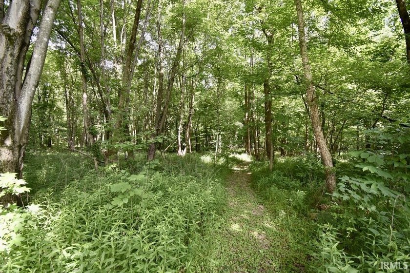 19 Acres for Sale in Warrick County, Indiana - Premier Hunting &amp; - photo 9