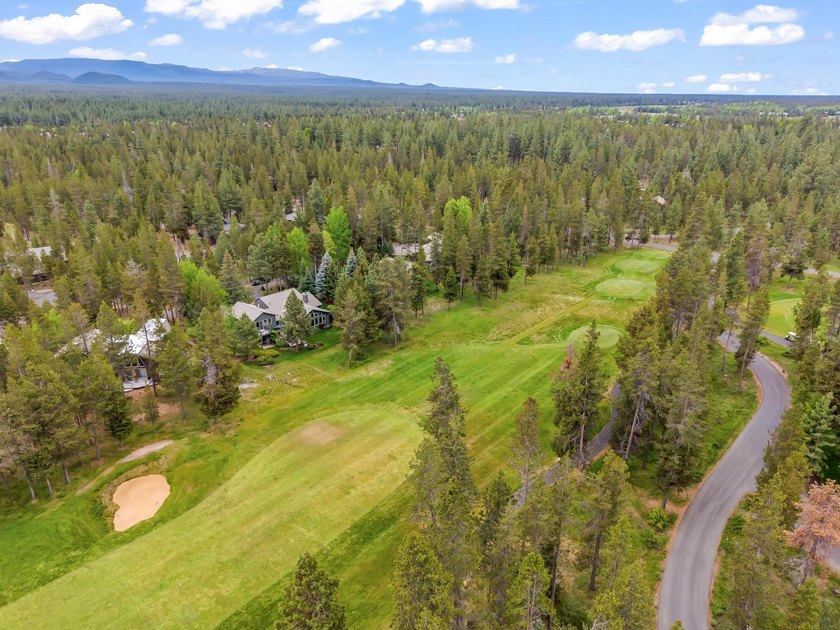 This furnished spacious, updated Meadows Golf Course home - photo 6