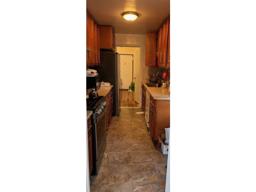 Sunny and airy huge jr.4. Updated kitchen and bath, hardwood - photo 4
