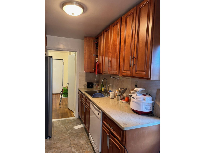 Sunny and airy huge jr.4. Updated kitchen and bath, hardwood - photo 5