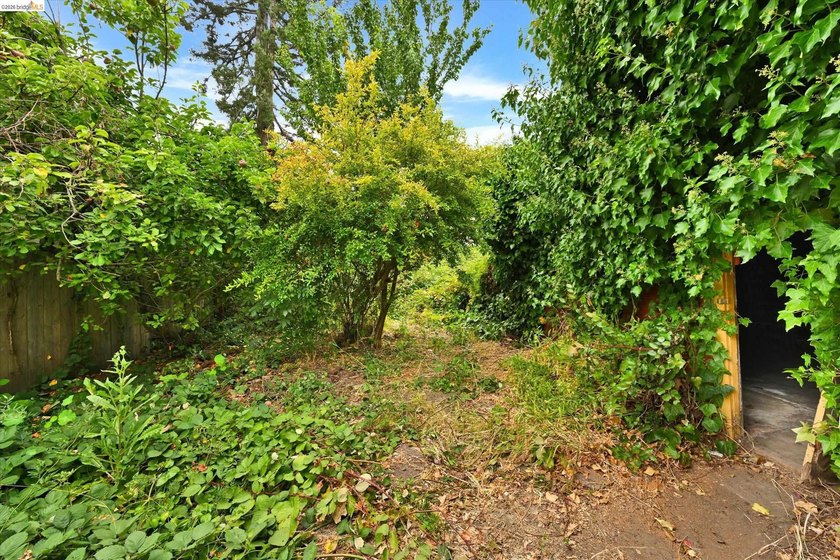 Located in the heart of South Berkeley, this property presents - photo 41