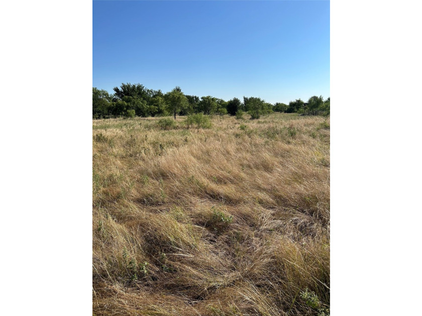 Own a piece of beautiful Texas country! This unique acreage in - photo 6