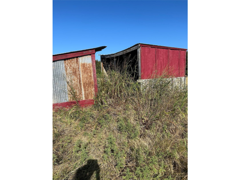 Own a piece of beautiful Texas country! This unique acreage in - photo 8