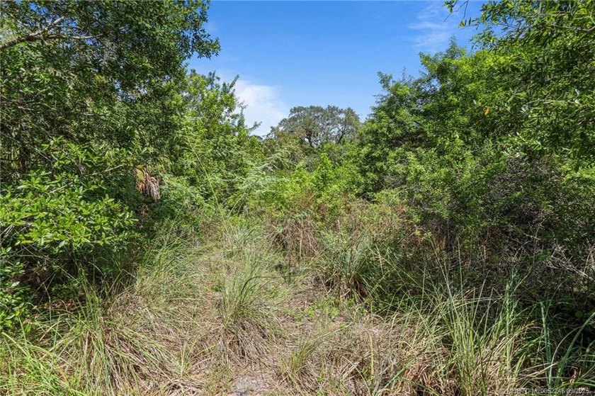 Affordable St Lucie RIVERFRONT lot with ocean access. Located in - photo 13
