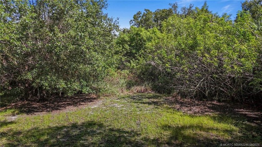Affordable St Lucie RIVERFRONT lot with ocean access. Located in - photo 18