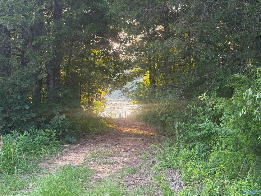 Build your dream home on this 0.72+/- acre waterfront lot in - photo 10