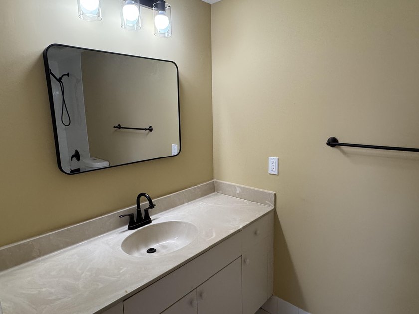 NEWLY RENOVATED KITCHEN. UPDATED BATHROOMS. NEW WINDOW - photo 8