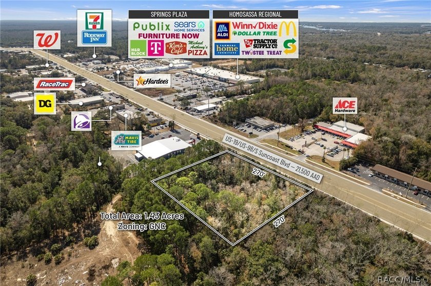 Positioned directly on US Hwy 19/98 in the heart of Homosassa - photo 11