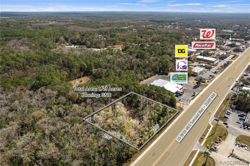 Positioned directly on US Hwy 19/98 in the heart of Homosassa - photo 14
