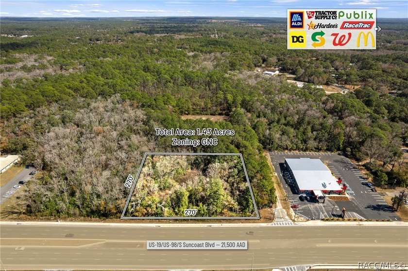 Positioned directly on US Hwy 19/98 in the heart of Homosassa - photo 16