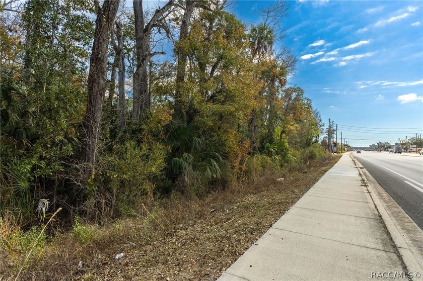 Positioned directly on US Hwy 19/98 in the heart of Homosassa - photo 19