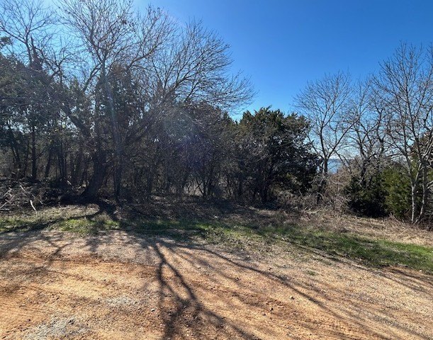 Great Lot with distant water view, partially cleared, backs up - photo 4