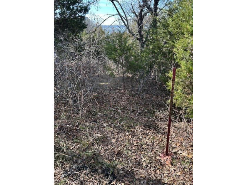 Great Lot with distant water view, partially cleared, backs up - photo 9