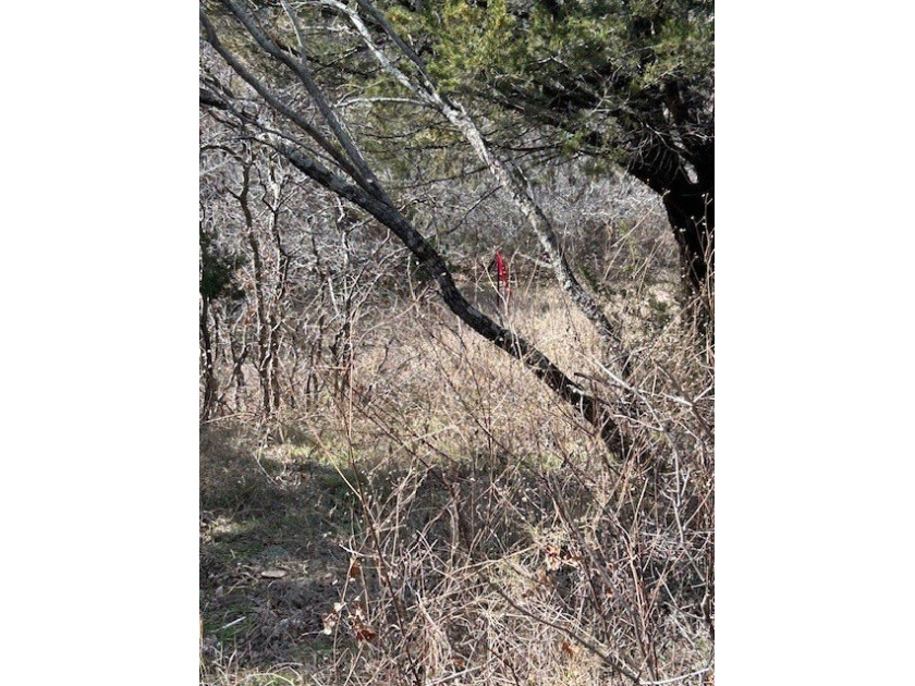 Great Lot with distant water view, partially cleared, backs up - photo 10