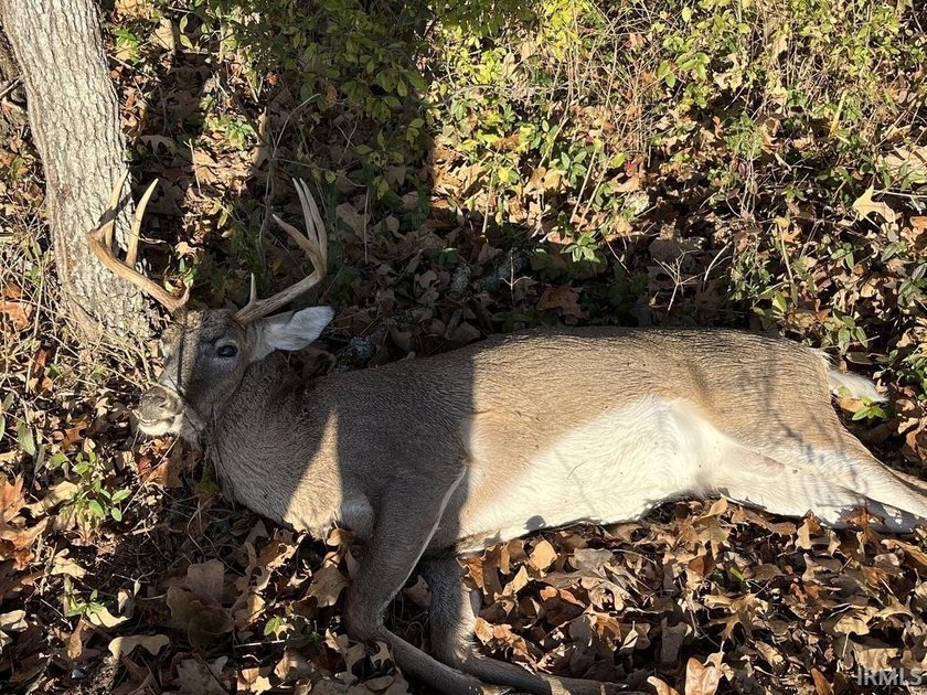 19 Acres for Sale in Warrick County, Indiana - Premier Hunting &amp; - photo 13