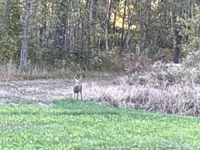 19 Acres for Sale in Warrick County, Indiana - Premier Hunting &amp; - photo 15