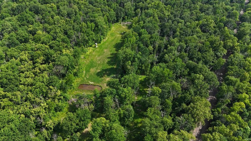 19 Acres for Sale in Warrick County, Indiana - Premier Hunting &amp; - photo 25