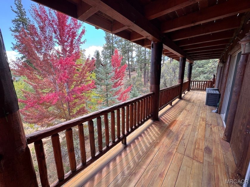 Beautiful Log-Style Mountain Home in prime Castle Glen Big Bear - photo 46