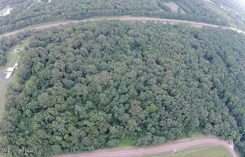 Prime 36-Acre Wooded Property with Development Potential - - photo 5