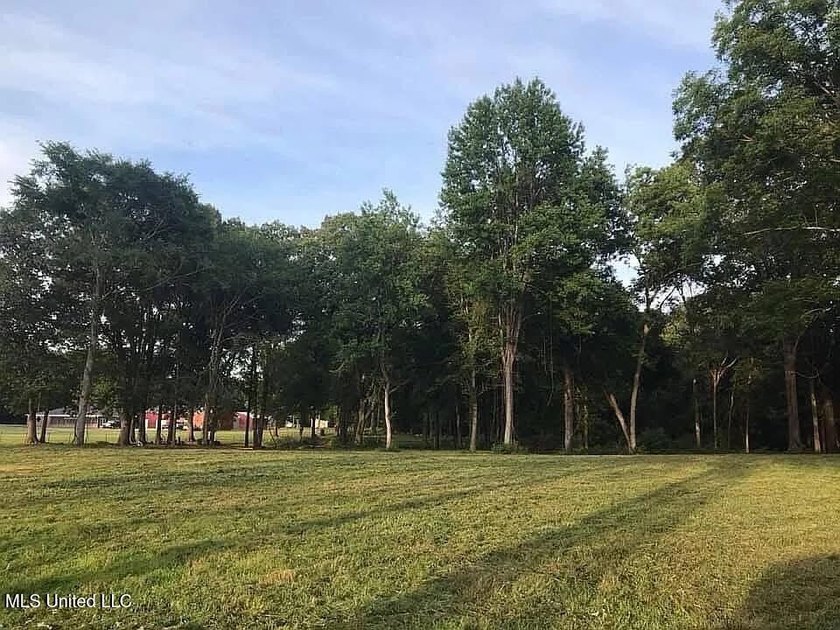 Prime 36-Acre Wooded Property with Development Potential - - photo 6