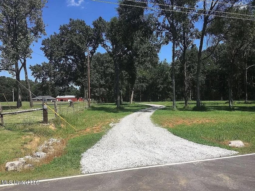 Prime 36-Acre Wooded Property with Development Potential - - photo 7
