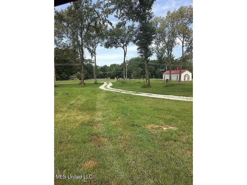 Prime 36-Acre Wooded Property with Development Potential - - photo 8