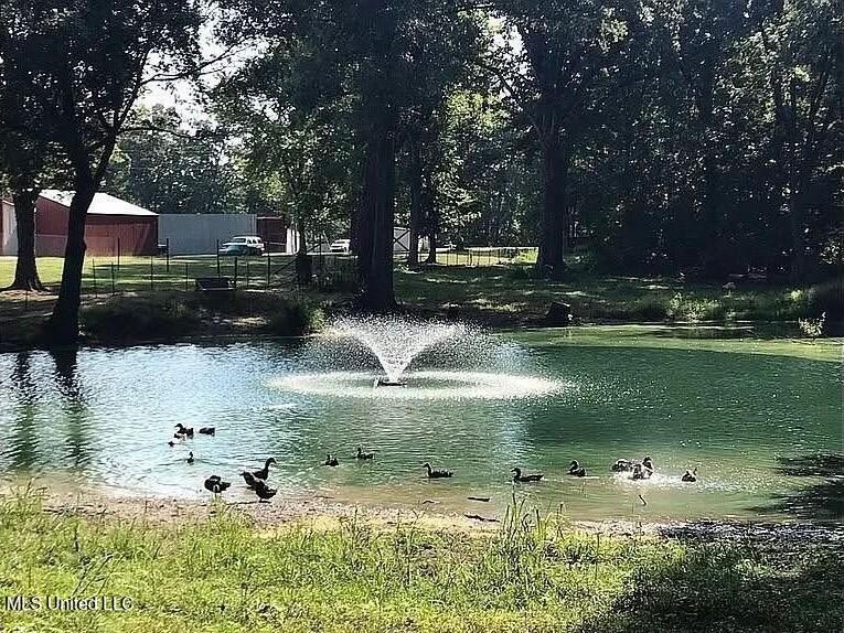 Prime 36-Acre Wooded Property with Development Potential - - photo 9