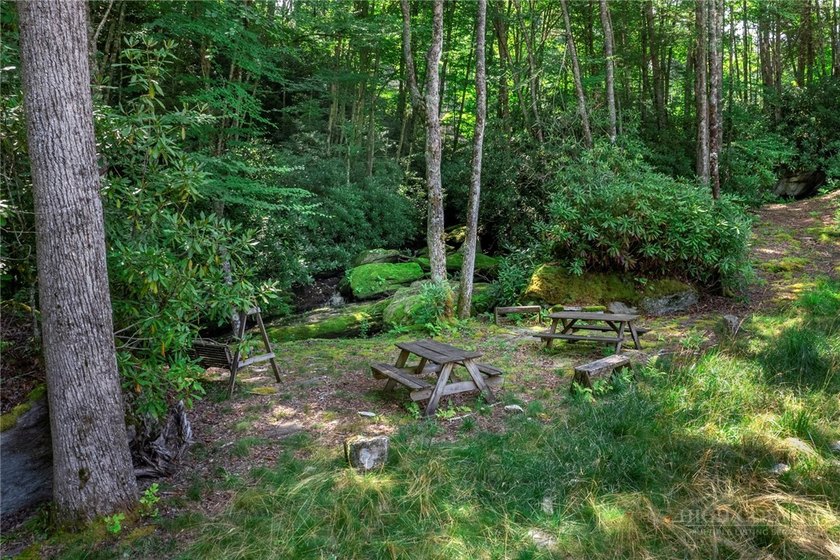 This is a one of a kind property situated in the Elk River Club - photo 24