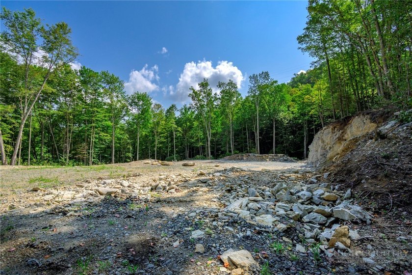 This is a one of a kind property situated in the Elk River Club - photo 35